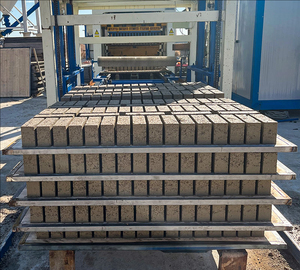 Garantie <span class=keywords><strong>de</strong></span> 10 ans GMT Palette en fibre <span class=keywords><strong>de</strong></span> verre Linyi Wante Block Palettes GMT en plastique pour machine <span class=keywords><strong>de</strong></span> fabrication <span class=keywords><strong>de</strong></span> blocs <span class=keywords><strong>de</strong></span> briques - Product Image 3