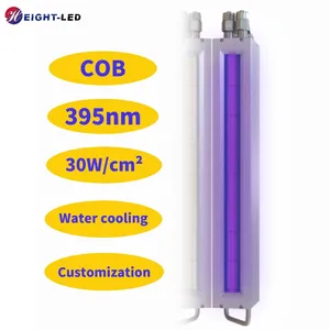 Auto Dimming COB UV LED Härtung system für Mark Andy Etiketten druckmaschine