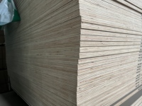 Panneaux de fibres de bois de première qualité, écologiques, résistants à l'humidité, brillants, en mélamine blanche, 18 mm, pour murs intérieurs