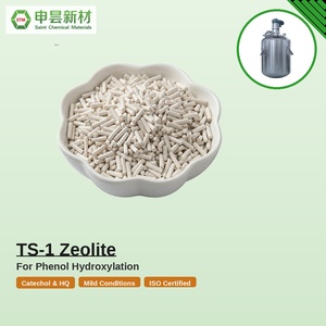 TS-1 ゼオライト チタンシリカライト-1 モレキュラーシーブ吸着剤 高純度工業用触媒 有機化学助剤 - Product Image 4