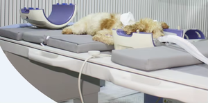 Sistema de Ressonância Magnética Veterinária EUR VET, Equipamento Médico de Imagem, Dispositivo de Imagem Amigável ao Paciente - Product Image 6