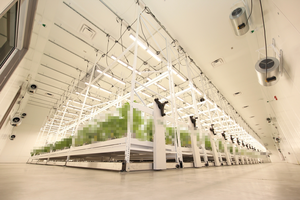 מסך לגדול מדפים גדלים אנכיים לחקלאות מקורה - Product Image 5