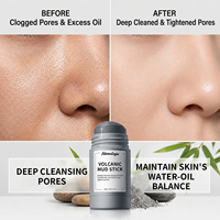 Masque facial en bâton OEM à l'argile volcanique et à l'armoise, à base de plantes et minéraux, pour le contrôle du sébum, le traitement de l'acné, l'élimination des points noirs et le resserrement des pores