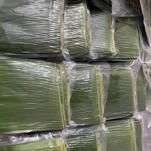 ใบกล้วยแช่แข็งเวียดนาม คุณภาพสูง พร้อมส่งออก - Product Image 1