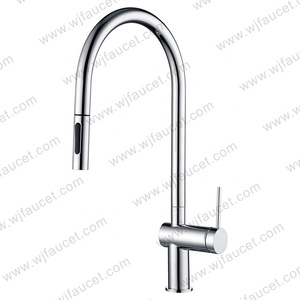 Torneira <span class=keywords><strong>Pra</strong></span> Cozinha ottone estraibile spruzzatore molla singola leva pistola rubinetto in metallo rubinetto lavello con estraibile - Product Image 3