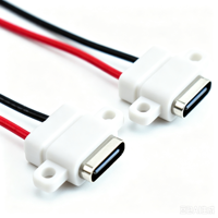 Connecteur USB Type-C femelle à connecteur d'alimentation mâle 2 broches avec câble 1007-24AWG 6CM 10CM 15Cm pour montage sur panneau LN-004