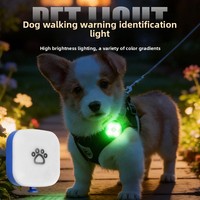 Lampe LED colorée en plastique pour chien, lumineuse, anti-perte, rechargeable, avec design de dessin animé pour animaux de compagnie, idéale pour la marche nocturne et Halloween