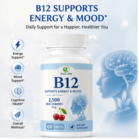OEM ODM Ruijin Vitamine B12 Méthylcobalamine 2500mcg Complément Énergie et Humeur Adulte Saveur Cerise Rouge 60 Comprimés Vente en Gros
