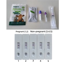 Test de grossesse précoce rapide pour ruminants, emballage individuel, pour la détection précoce de la grossesse chez les vaches (bétail)