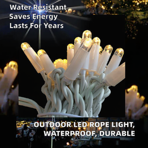 Guirlande lumineuse LED décorative pour le Nouvel An, basse tension, sécurité, luminosité réglable, longue durée de vie, extérieur, IP65, garantie 2 ans, câble en caoutchouc - Product Image 4