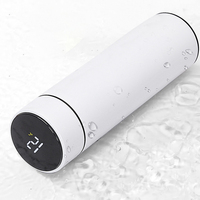Bouteille isotherme intelligente en acier inoxydable de 500 ml avec affichage LED de la température et filtre intégré