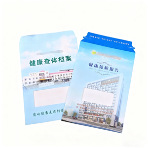 Bolsas Médicas de Cartón Personalizadas de 300 g/m², Bolsas para Impresión por Rayos X, Bolsas y Carpetas para Informes de Chequeo de <span class=keywords><strong>Salud</strong></span> - Product Image 2