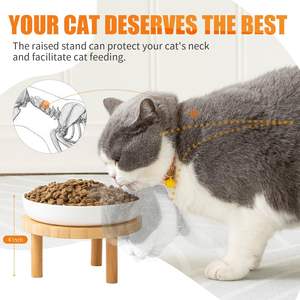 Bols surélevés en céramique peu profonds en bois personnalisés <span class=keywords><strong>station</strong></span> d'alimentation pour chien en bambou pour chats d'intérieur - Product Image 2