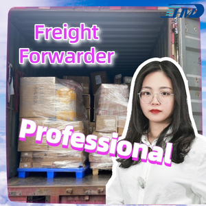 Envío a domicilio SWWLS DDP, incluido el <span class=keywords><strong>despacho</strong></span> de aduanas de China a Canadá, Filipinas, Francia y América - Product Image 2