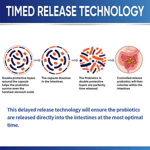 निजी लेबल कच्चे प्रोबायोटिक्स और पाचन एंजाइमों के साथ निजी लेबल कच्चे प्रोबायोटिक कैप्सूल पाचन क्रिया में सुधार करते हैं - Product Image 5