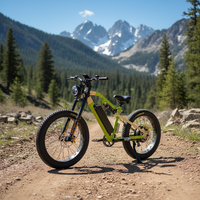 Vélo de montagne électrique en gros, 26 pouces, pneus larges, E-MTB, vélo électrique avec clignotants