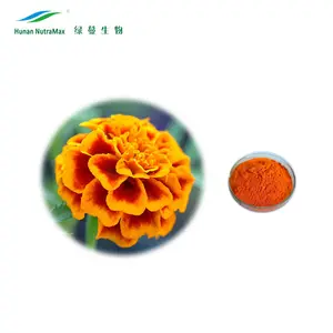 Amostra livre de extrato de flor marigold com zeaxantina 4%