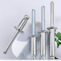 Rivets à percussion 2.4 3 3.2 4 4.8 5 6.4 mm OEM Chine Acier inoxydable 304/316 Grade 304/316 Finition naturelle Longueur de la tête de 10-120 mm