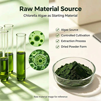 Poudre d'extrait de Chlorella Vulgaris de qualité alimentaire, cosmétique et pour l'alimentation animale, fournie directement par l'usine, pour mélanges diététiques et matières premières pour soins de la peau