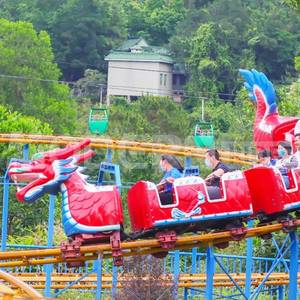 เครื่องเล่นรถไฟเหาะดราก้อนโรลเลอร์โคสเตอร์สำหรับสนามหลังบ้าน เหมาะสำหรับครอบครัว ขาย - Product Image 2