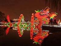 Lanterne en papier du nouvel an chinois 2024 lanterne d'art de dragon animal à vendre surface en tissu lanternes chinoises extérieures pour les festivals
