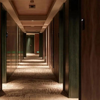 Tapis de salle de cinéma imprimé en nylon 66 du théâtre 100% de cinéma public d'hôtel d'utilisation commerciale de RTS