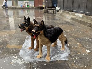OEM grinçant parodie grande statue géante <span class=keywords><strong>de</strong></span> <span class=keywords><strong>chien</strong></span> qui aboie pondéré en peluche vrai <span class=keywords><strong>chien</strong></span> animal noir en peluche berger alleman - Product Image 3