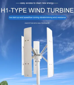 Molino de viento de 500w, 1000w, 2000w, 12V, 24V, 48V, turbina aerogeneradora de 5 aspas de eje vertical