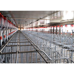 Équipements agricoles modernes, cages pour animaux, enclos de gestation pour truies, cages de gestation pour porcs galvanisées - Product Image 2