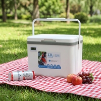 Glacière portable 12L en PP pour pique-nique et stockage de boissons pour le camping