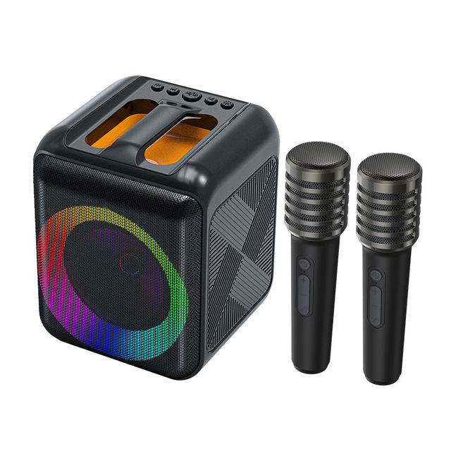 Speaker with RGB Flashing Lighting Strong Subwoofer Karaoke Machine with Microphones Family Party Kids Gifts