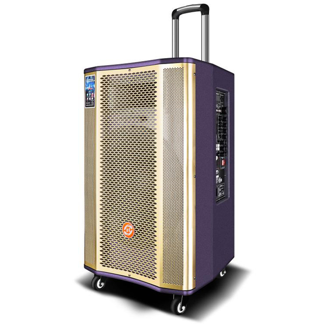 15" Inch 120W Big Power Outdoor Karaoke Wooden Trolley Speaker Subwoofer Portable Blue Tooth Speaker With Wireless Mic