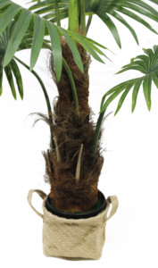 Palma artificiale Nordic Style Real Touch con supporto, bonsai, 130 cm/90 cm, 7 foglie verdi, ecologica, durata 10 anni - Product Image 3