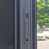 Ventana Corredera Horizontal Deioux Storm de Color Personalizado, Ventana Corredera de Aluminio con Perfil de Vidrio
