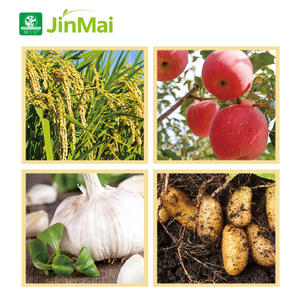 Fertilizante Compuesto 16 8 32 + TE, NPK Fe Mn Zn Cu B, Alto Contenido <span class=keywords><strong>de</strong></span> Nitrógeno y Potasio, Polvo Soluble en Agua, Fertilizante NPK - Product Image 4