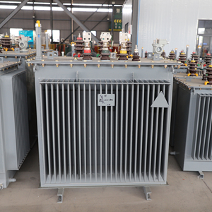 Transformador de Potencia de Alta Tensión Sumergido en Aceite de 35-750 kVA, de 13-35 kV a 800 V - Product Image 2