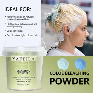SalonProfessional Semipermanente Color de cabello Blanqueador de polvo de cabello profesional 500g Tinte de color de cabello rubio Personalizable - Product Image 2