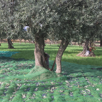 Tunisie Grèce agriculture PEHD gros filet d'olive/filet de récolte d'olive 6*12/filets de collecte d'olive 8*14m