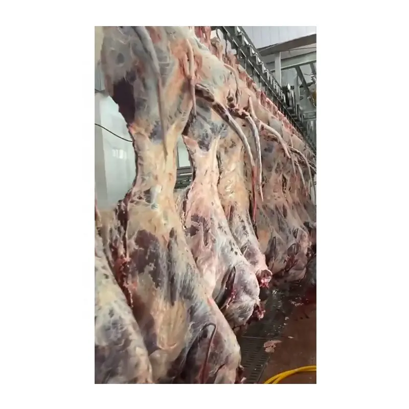 Commercial Abattoir Plant 100 Cattle Halal Meat Processing Cattle Slaughter Line Machine Abattoir