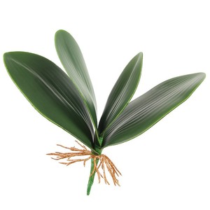 Home Office Decor Latex Real Touch Plants Green Faux Leaf <span class=keywords><strong>Artificial</strong></span> Phalaenopsis Orchid Leaves - Product Image 2