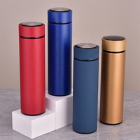 Termo de Acero Inoxidable Color Mate con Filtro para Té, Botella de Agua Aislada de 500 ml para Uso Diario