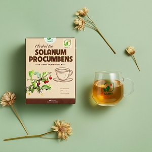 NMPT Brand Solanum Procumbens Herbal <b>Tea</b> Vietnam Ca Gai Leo <b>Tea</b> Bag Natural Herbal <b>Infusion</b> OEM Factory Wholesale Exporter - Product Image 1