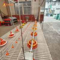 Système d'alimentation automatique complet pour volailles, pour élevages de poulets de chair, fabricant direct d'équipements d'alimentation par mangeoire à plateau, fournisseur