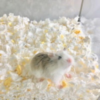 Hamster chauds d'hiver, déodorant naturel, fournitures paysager, ours doré, cochon d'inde, literie