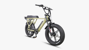 Vélo électrique à pneus larges 20 pouces 750W 48V, style cyclomoteur rétro, vélo électrique adulte deux places, suspension tout-terrain - Product Image 2