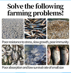 Cá rô phi cá da trơn và cá chép nuôi tăng trưởng thức ăn phụ gia tăng trưởng thúc đẩy tăng tốc độ tăng trưởng của cá chiên - Product Image 5