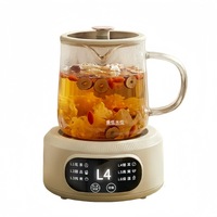 Bouilloire Électrique Multifonctionnelle 500ml à Succès Commercial, 6 Modes de Cuisson, Maintien au Chaud 24H, Bouteille en Verre, Filtre 304 pour Maison et Bureau