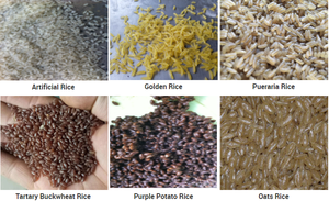 Línea de Producción de Arroz Enriquecido con Nutrientes Totalmente Automática, Extrusora de Doble Tornillo, Motor de Engranajes, Alta Eficiencia, Elaboración de Arroz Fortificado - Product Image 6