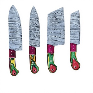 Juego de Cuchillos de Cocina de Acero de Damasco, 1 Pieza, Mango de Madera Pakka, Hoja Recta con Punta Caída, Dureza 58-60HRC - Product Image 1