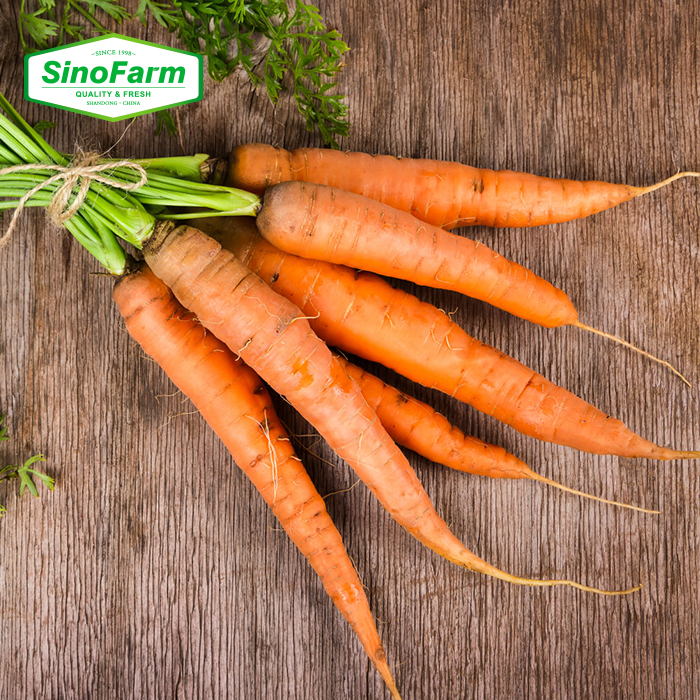 Морковка. Морковь. Первая морковка. Семена морковь нарбонне f1. Желтая морковь.